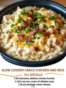 Bowl of Slow Cooker Crack Chicken and Rice with creamy sauce and herbs