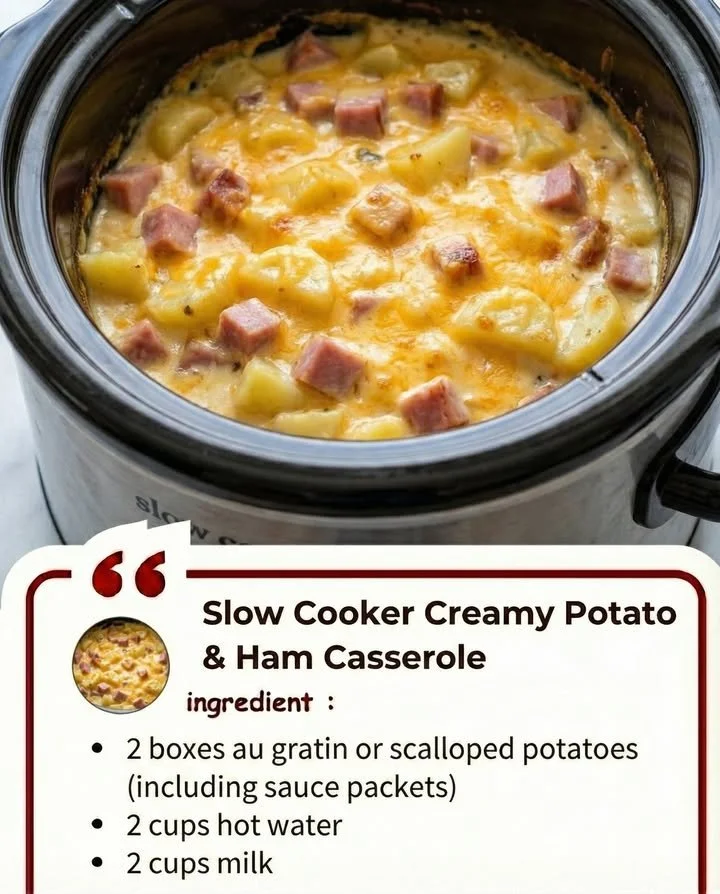 Delicious slow cooker creamy potato ham casserole ready to serve