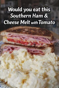 Southern Ham & Cheese Melt with Tomato on a plate