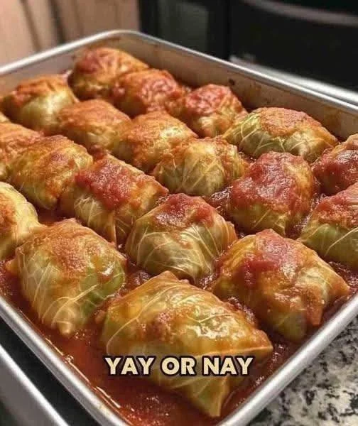 Plate of homemade stuffed cabbage rolls with tomato sauce