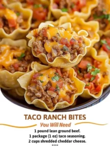 Delicious Taco Ranch Bites served as a flavorful appetizer or snack.