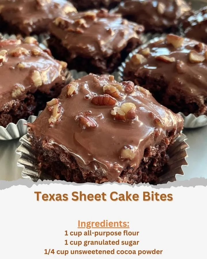 Texas Sheet Cake Bites served on a plate, showcasing their rich chocolate texture.