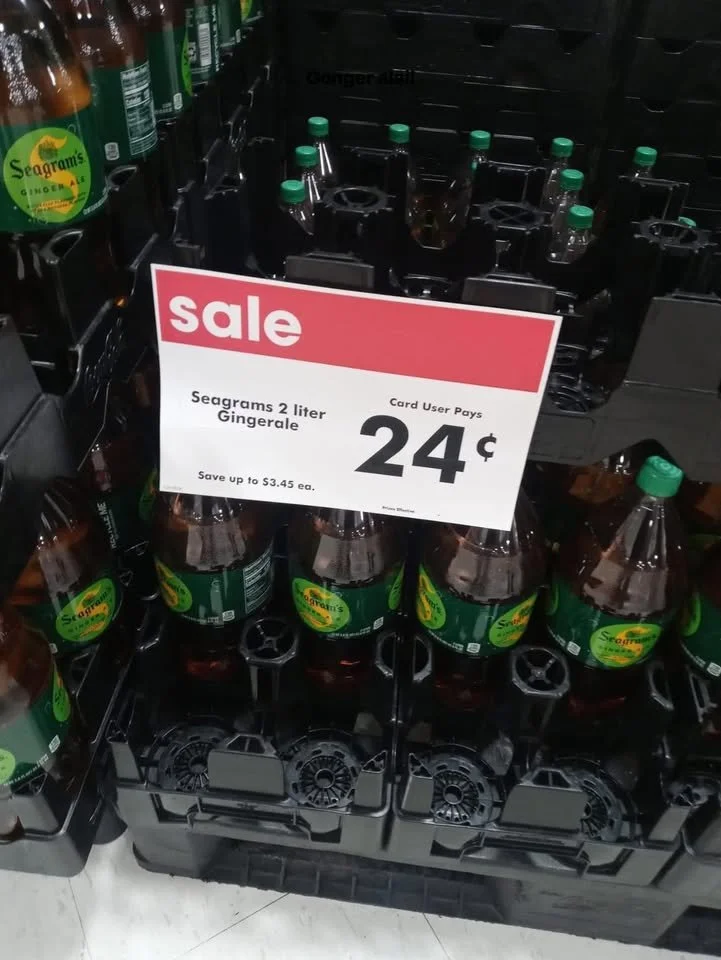 Review of the worst ginger ale with funny commentary