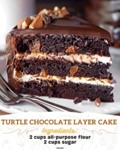 Delicious Turtle Chocolate Layer Cake with chocolate frosting and caramel drizzle.