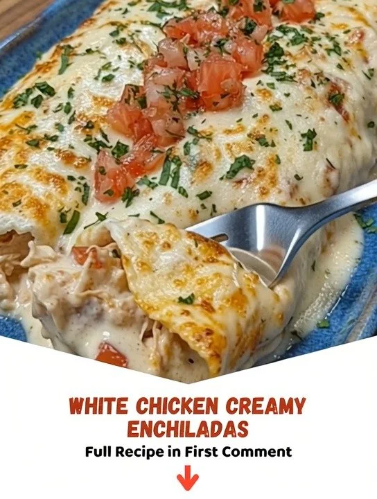 Delicious white chicken creamy enchiladas topped with cheese and sauce