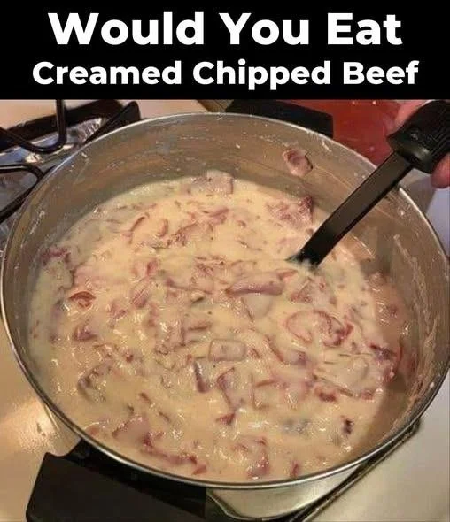 Plate of delicious creamed chipped beef served over toast