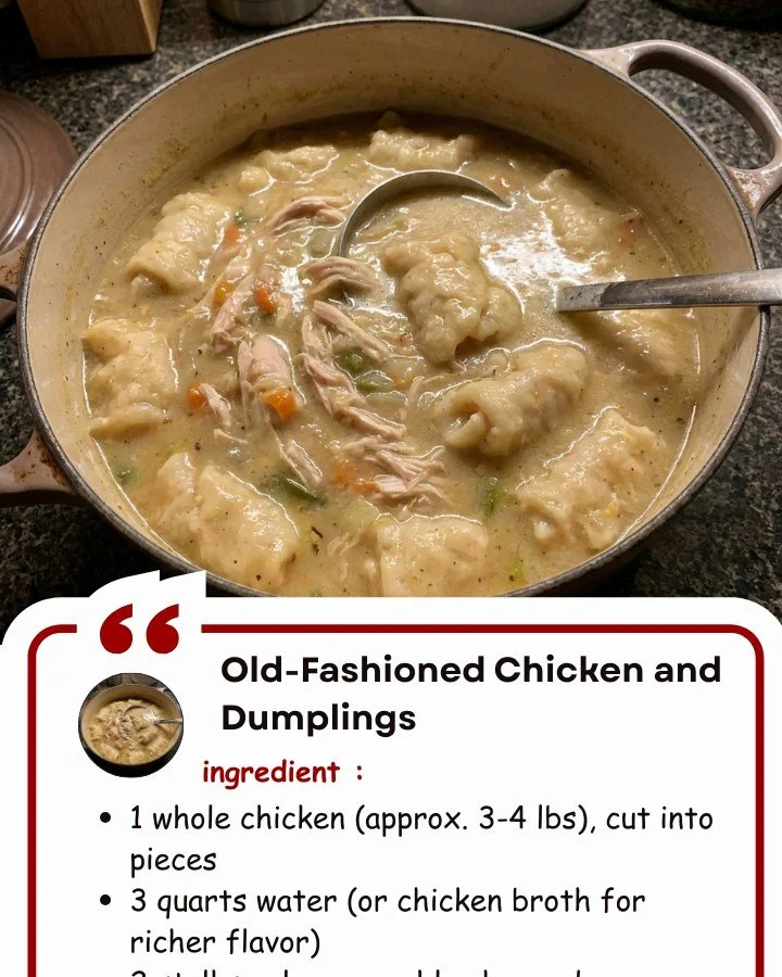 Bowl of Old-Fashioned Chicken and Dumplings with herbs and spices
