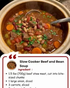 Delicious slow cooker beef and bean soup in a bowl