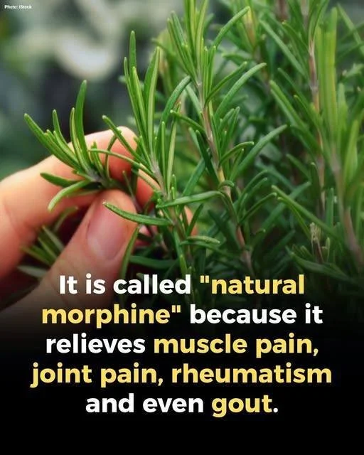 Set of translation guidelines for accurate communication in multiple languages.